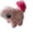 B, variant on Brown Walking Plush Squirrel Toy - Battery Operated Stuffed Animal That Walks Wags Tail and Makes Sounds, Interactive Cuddly Soft Pet for Play and Gift - Brown