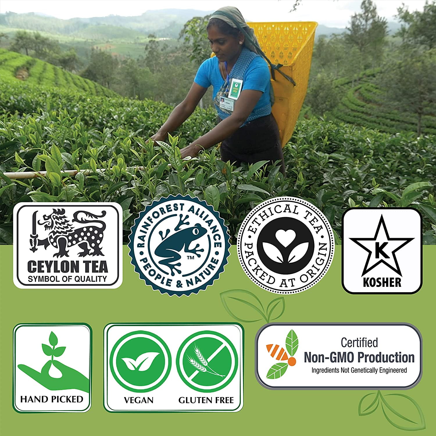 Jaf Tea - Tea Sampler Gift Set Box, 80 COUNT - 8 Tea Variety Pack - Green Teas Including: Jasmine Tea, Mint Tea, and Oolong Tea - 80 Tea Bags (10 of each)