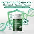 thumbnail image 5 of Mulittea Nicotinamide Riboside Complex Capsules with Quercetin, Resveratrol, NAD+ Supplement, 180 Vegan Capsules for Cellular Energy Support & Metabolic Health, 5 of 7