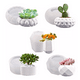 thumbnail image 1 of Moldes Pequeñas Jardineras Moldes Para Maceta Plantas 5 pzs, Blanco, 1 of 5
