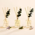 thumbnail image 2 of Eucalyptus Reed Diffuser Set of 3 - Lavender Eucalyptus, Black Forest, Clean Cotton Scents, 1.7 fl oz Each, Total 5.1 oz, Scented Oil Diffusers for Home & Office﻿, 2 of 4