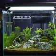 thumbnail image 4 of Miangastore Suction Cup Fish Feeder Aquarium Food Container Acrylic 1Pcs 11.8X5.9X2.4In, 4 of 8