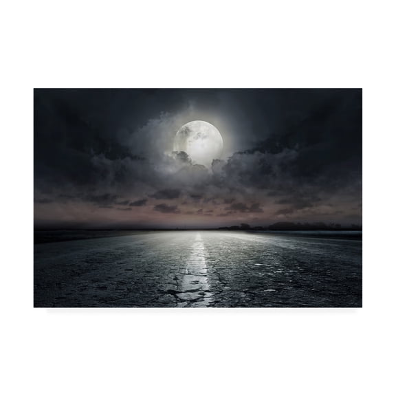 Trademark Fine Art 'Moon Street' Canvas Art by PhotoINC Studio