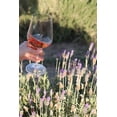 thumbnail image 2 of VINO DON PERFECTO ROSADO 750 ml Don Perfecto Malbec, 2 of 2