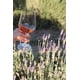 thumbnail image 2 of VINO DON PERFECTO ROSADO 750 ml Don Perfecto Malbec, 2 of 2