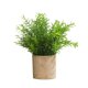 thumbnail image 1 of Planta de simulación bonsái decoración del hogar sala de estar decoraciones pequeñas flores frescas en macetas simulación flores falsas, 1 of 5