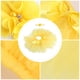 thumbnail image 2 of Disfraz de bebé amarillo para fotografía, falda de malla, falda tutú infantil, ropa para recién nacidos, vestido de tul con lazo, ropa de bebé con diadema floral, accesorio fotográfico para bebé, 2 of 7