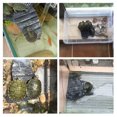 thumbnail image 3 of Tortoise Basking Reptile Platform Tank Aquatic Water Rock Ladder Basking Island Climb, 3 of 9