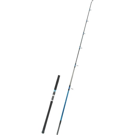 BLUEWING Bluefin Spinning Fishing Rod 2 Pieces Lightweight Carbon Fiber Fishing Pole with Fuji K-series Stainless Steel Guides for Inshore Fishing Bottom Fishing Jigging Offshore Fishing 8'2"
