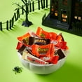 Hershey Assorted Chocolate Flavored Halloween Candy, Variety Bag 16.27