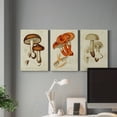 thumbnail image 6 of Mushroom Varieties VI Premium Gallery Wrapped Canvas - Ready to Hang - 18 x 27 Each, 6 of 10