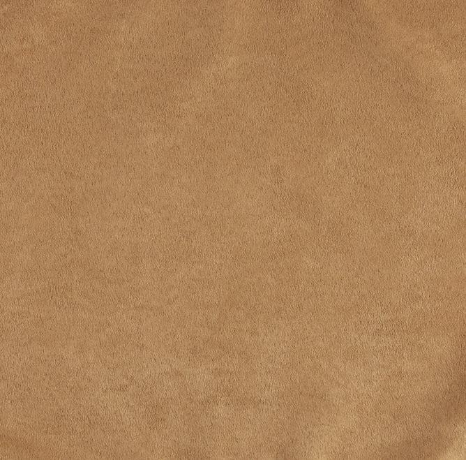 Buckskin