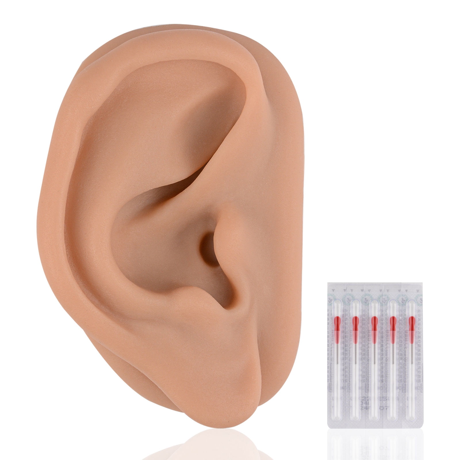 Acupuncture Ear Model, Right Artificial Ear Replica for Auricular