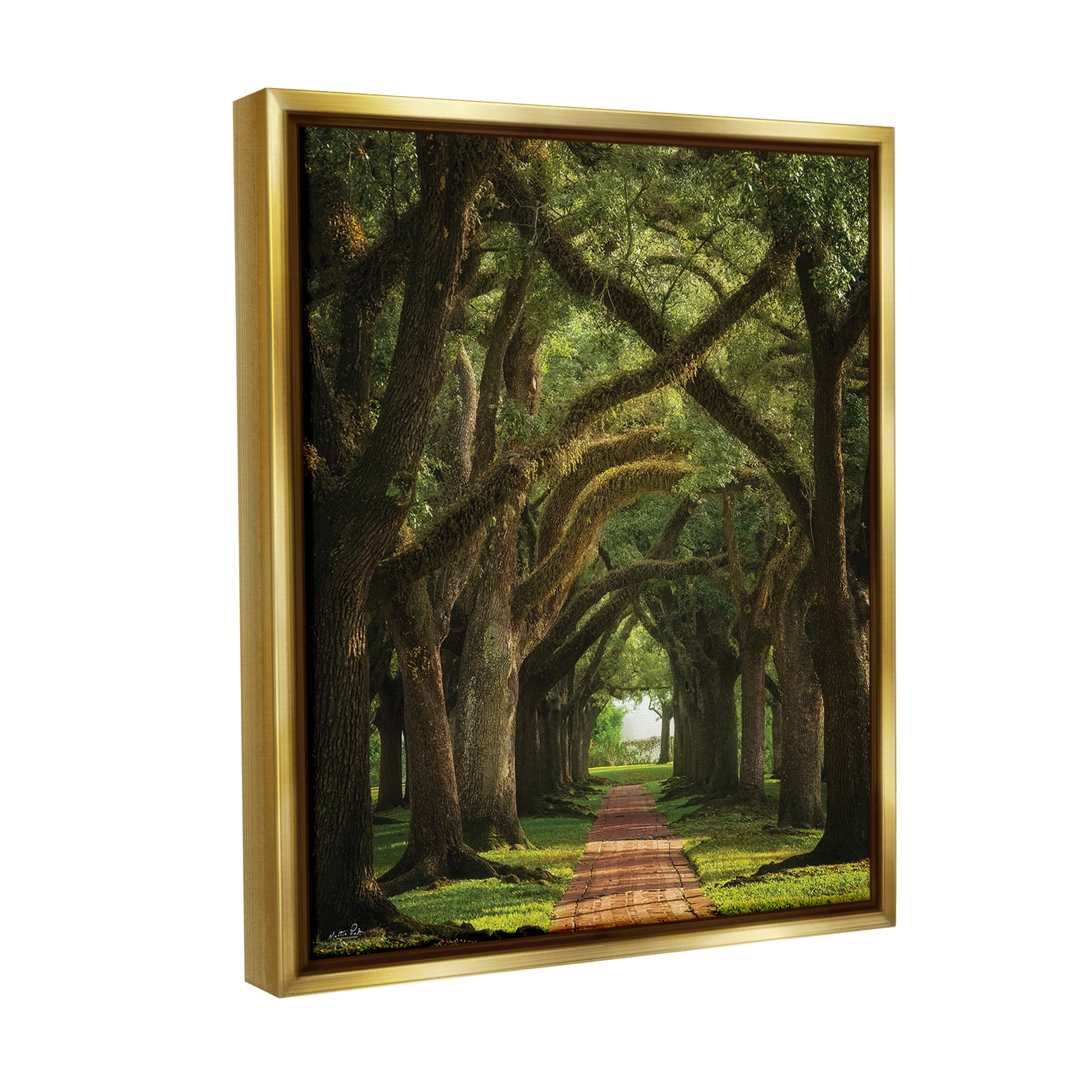 Stupell Industries Shadowed Tree Grove Landscape Photography Gold Floater Framed Canvas Art Print Wall Art, 17 x 21