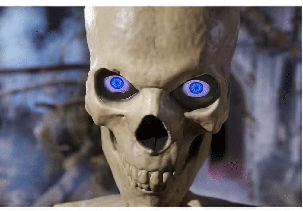 12 ft. Skelly Eye Kit - 8 Function Home Accents Holiday