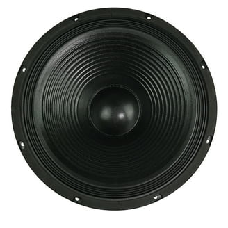 Technical Pro zxp15 15 inch 3000W Peak Raw Driver - Walmart.com