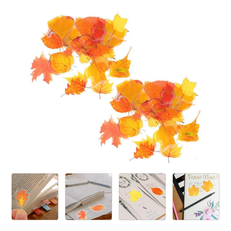 Stickers Sticker Flower Scrapbook Scrapbooking Plant Adorable Decorative Botany Retro Decals Foliage Leaves Delicate, Size: 4.00