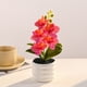 thumbnail image 5 of Orquídea Phalaenopsis Artificial, Decoración de escritorio de oficina boda, rosa amarillo con rayas, 5 of 6