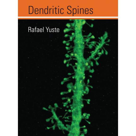 Pre-Owned Dendritic Spines (Hardcover) 9780262013505