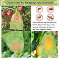 thumbnail image 2 of 100 Uds bolsas de protección de frutas 8x12 pulgadas, bolsas de cubierta de red verde protectores de frutas de malla con cordón barrera de plagas para uvas Mango, 2 of 5