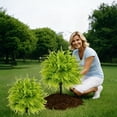 thumbnail image 5 of 19 inch Green Artificial Potted Plant, Plastic Outdoor Garden Faux Ground Cover Arrangement, No Maintenance Required, 5 of 7