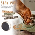 thumbnail image 3 of Peggy11 Cuencos Profundos Antideslizantes De Acero Inoxidable Para Perros - Paquete De 2 16 Tazas, 3 of 5