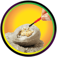 thumbnail image 3 of Dinosaur Fossil Dig Set with tools, 6 styles, child ages 3 and up, by Way to Celebrate, 3 of 8