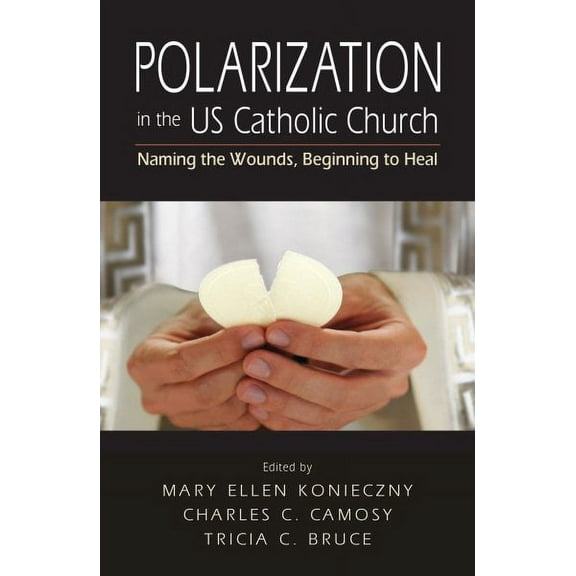 Polarization in the US Catholic Church : Naming the Wounds, Beginning to Heal (Paperback)