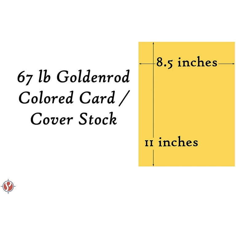 Dynamico goldenrod pastel color cardstock paper - great for arts