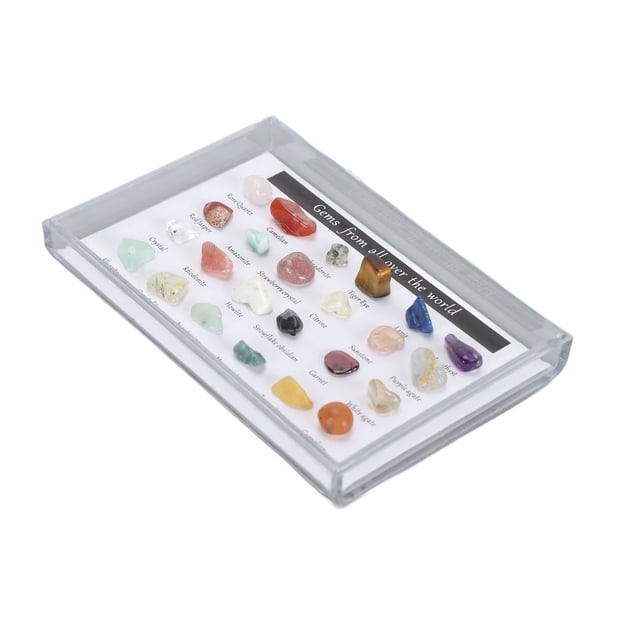 Collection de Roche pour Enfants, Boîte de Collection Éducative de Roche et de Minéraux Amusante et Attrayante Trousse Éducative de Science des Roche avec Vitrine Transparente Excellent Cadeau STIM pour Garçons Filles