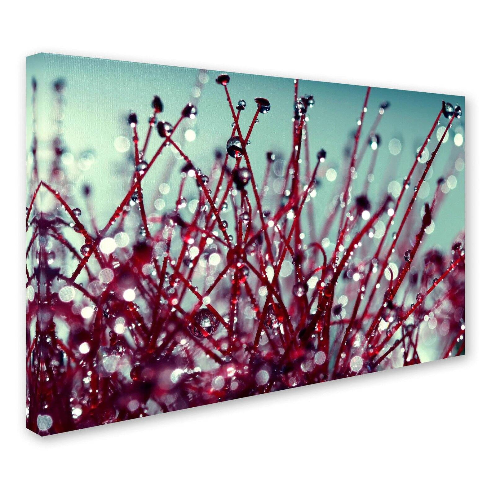 Trademark Fine Art "Morning Tunes" Canvas Art by Beata Czyzowska Young