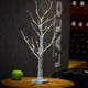 thumbnail image 4 of Birch Lamp LED Light for Lighting 1Pcs Warm White Tabletop Home Decoration, 4 of 4