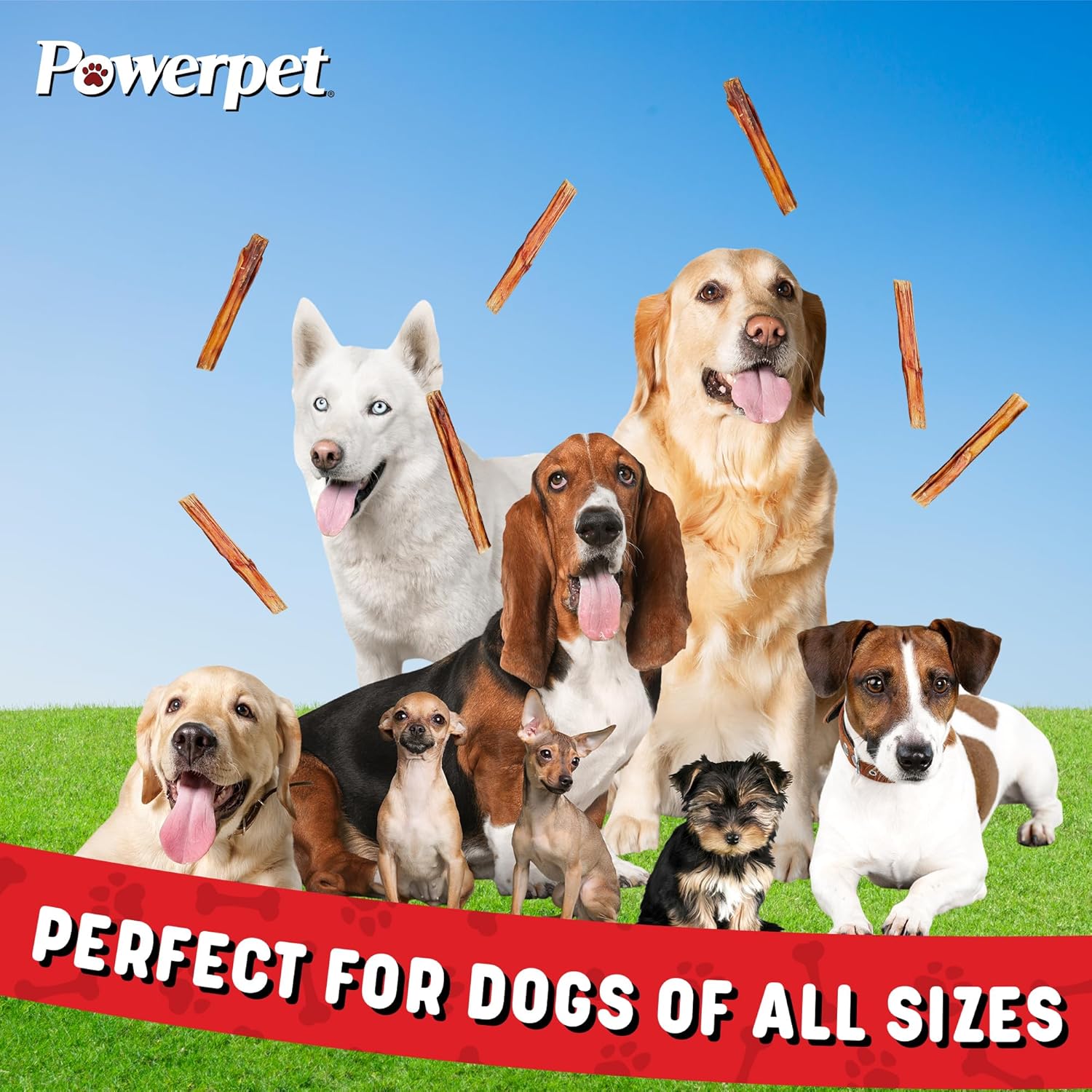 Powerpet 100% Natural Bully Stick - High Protein, Low Fat, Healthy Dog Treats, Long-Lasting Dog Chews, Easily Digestible, Cleans Teeth, Low Odor, for All Breeds & Sizes, 6" - 50 Count