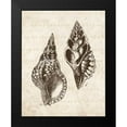 thumbnail image 2 of Harbick, N 12x14 Black Modern Framed Museum Art Print Titled - Elegant Shells I - mini, 2 of 5