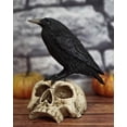 thumbnail image 1 of Ebros Gothic Raven Perching On Skull Statue 7.25" High Crow Scavenger Figurine, 1 of 6