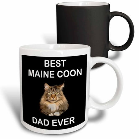 3dRose Maine Coon Cat with Best Maine Coon Dad Ever Gift - Magic Transforming Mug, (Best Shampoo For Maine Coon Cats)