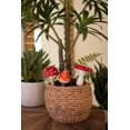 thumbnail image 2 of Juego de palitos de cerámica para plantas con forma de setas Vase KALALOU, 23 cm, 2 of 4