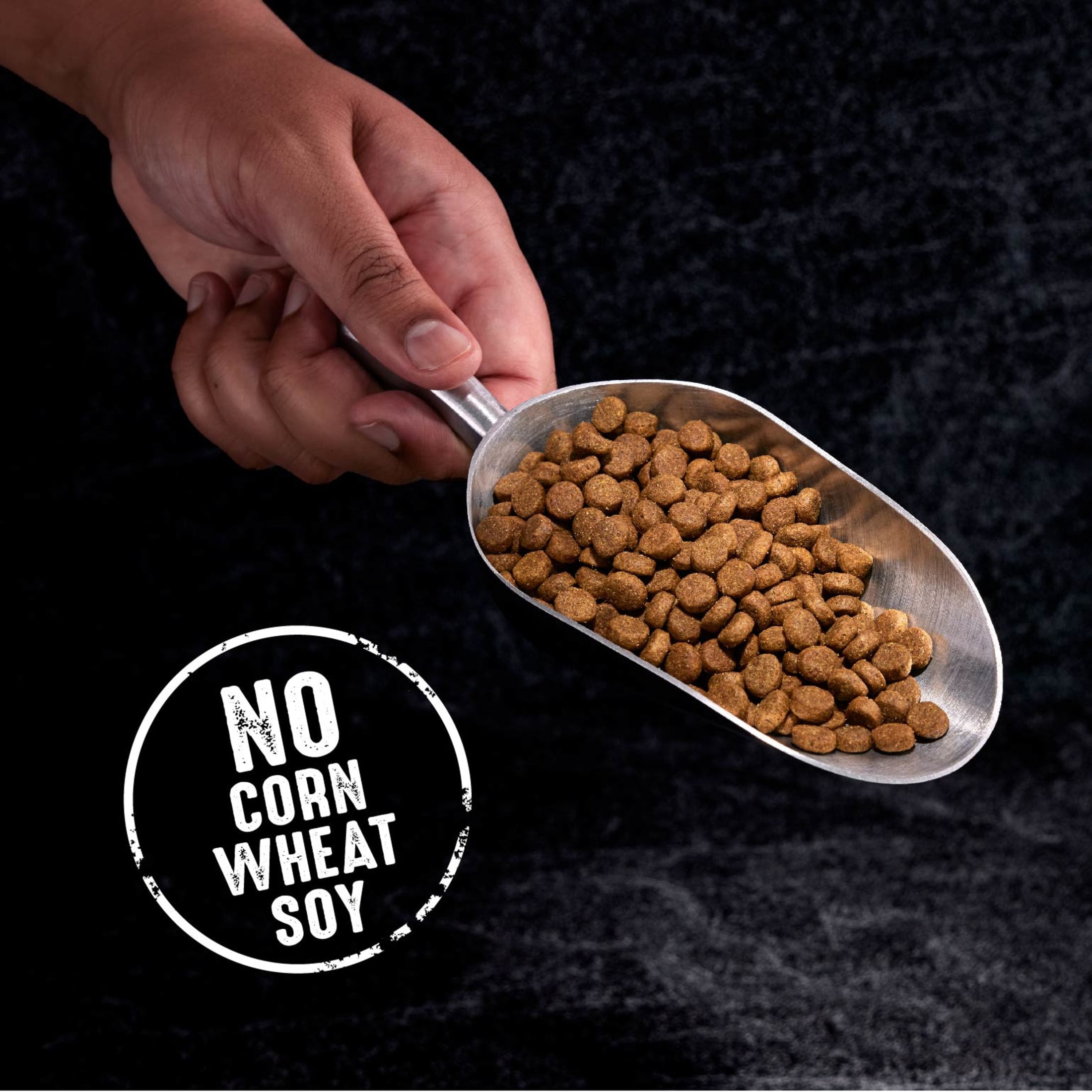 Free Shipping Crave Grain Free Adult Dry Dog Food With Protein From Beef 22 Lb. Bag Walmart