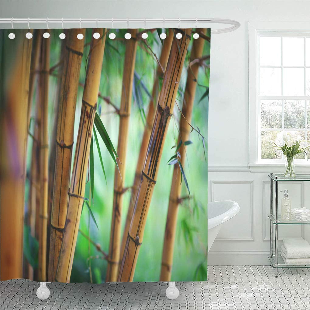ATABIE Nature Green Zen Bamboo Forest Shallow Dof Garden Serene Shower