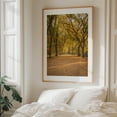 thumbnail image 6 of Autumn in Central Park, New York 01 - Manhattan New York Photography Autumn Nature Forest Landscape Botanical Rustic Travel Poster Unframed Wall Art Print 22 x 28 inches, 6 of 13
