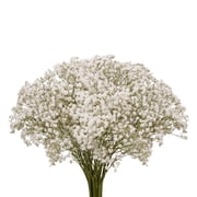 Image medium_image