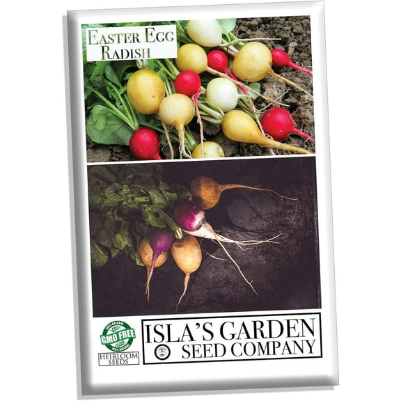 Easter Egg"Radish Seeds for Planting, (Isla's Garden Seeds), 250  Heirloom Seeds Per Packet, Non GMO Seeds, Botanical Name: Raphanus sativus