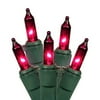Vickerman 50 Purple Dura-Lit Light on Green Wire, 23' Christmas Light Strand
