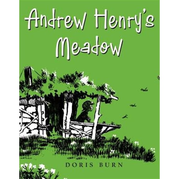 Pre-Owned Andrew Henry's Meadow (Hardcover) 9780399256080