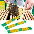 thumbnail image 4 of Beehive Door Vent, Beehive Door Vent Simple Operation Beehive Sliding Gate, Birds For Bees Pets Beekeeping Accessory, 4 of 8
