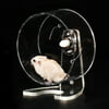Hamster Running Wheel Quiet 5.12 inch Acrylic Hamster Exercise Wheel Hamster Toy