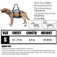 thumbnail image 2 of Coodeo Rehabilitation Support Series Adjustable Dog Lifting Aid Full Body Harnesses, Blue, S (14 in to 21 in Chest Size), 2 of 6