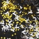 thumbnail image 3 of Confeti navideño con forma de ciervo, árbol de Navidad, copo de nieve, muñeco de nieve, confeti de lentejuelas para Feliz Navidad, decoraciones de mesa de fiesta de año nuevo, 3 of 4