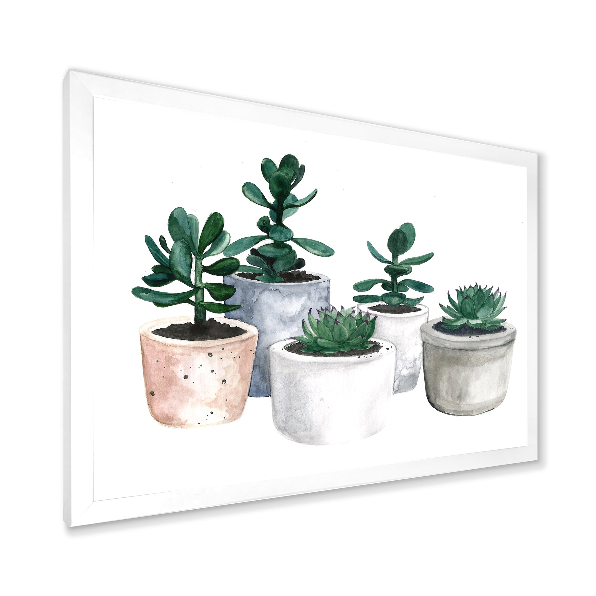 Designart 'Succulent and Cactus House Plants VI' Farmhouse Framed Art Print