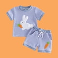 thumbnail image 6 of ITSAME Newborn Infant Girls Outfit Set, Crewneck T-Shirt and Shorts 2-Piece Cute Embroidery Fashion Casual Set Blue 12-18M, 6 of 7
